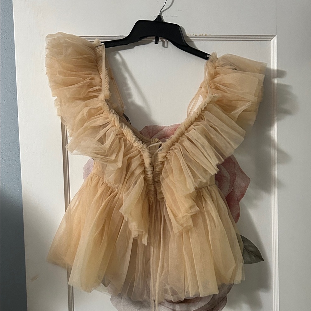 Two for One Deal! 
Sheer Light Blue and Tan Ruffle Tulle Shirts - Picture 4 of 4